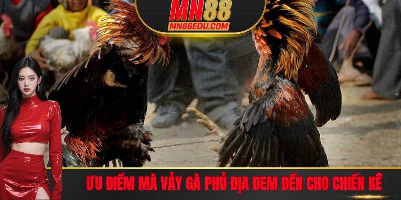 Ưu điểm mà vảy gà Phủ Địa đem đến cho chiến kê